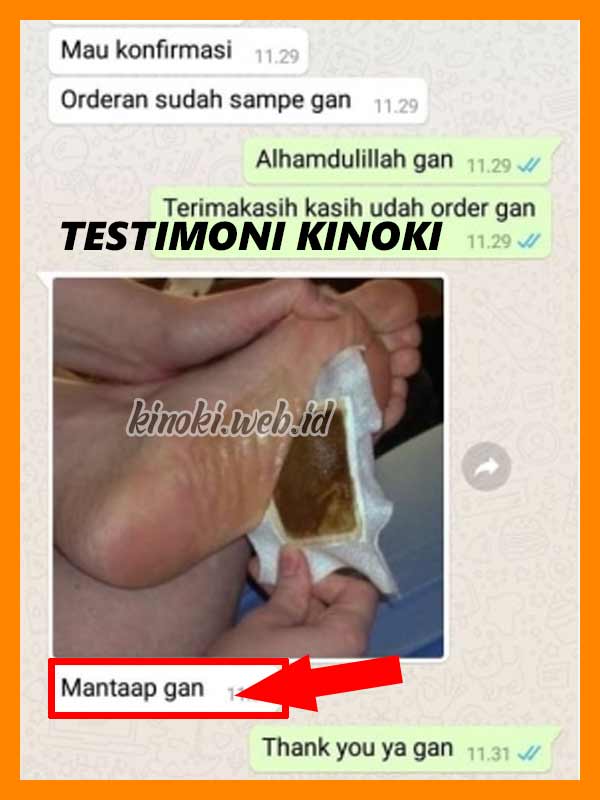Jual Kinoki Cleansing Detox Foot Pads di Subang 