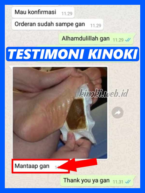 Jual Kinoki Cleansing Detox Foot Pads di Bener Meriah 