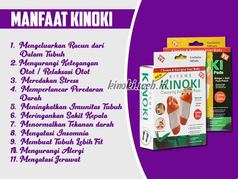Jual Kinoki Cleansing Detox Foot Pads di Kubu Raya 