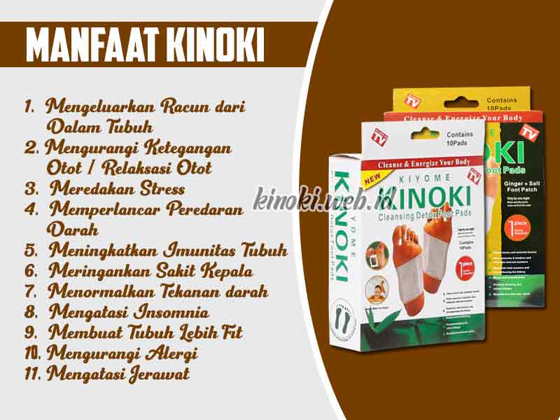 Jual Kinoki Cleansing Detox Foot Pads di Kajen 