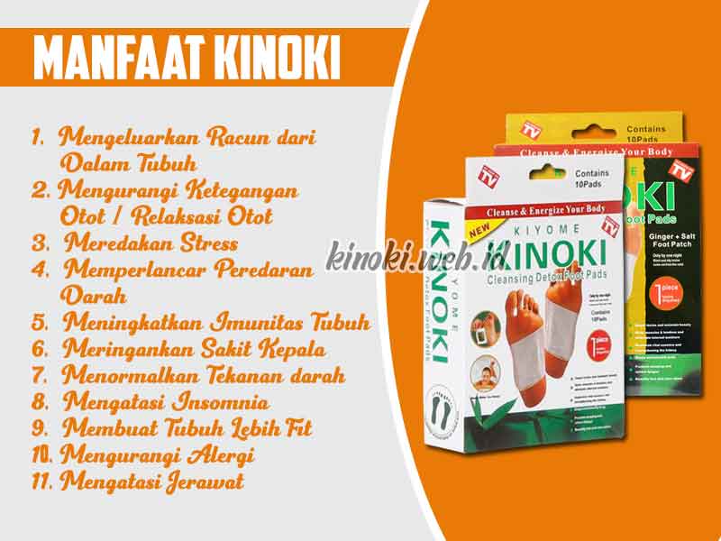 Jual Kinoki Cleansing Detox Foot Pads di Cakung 