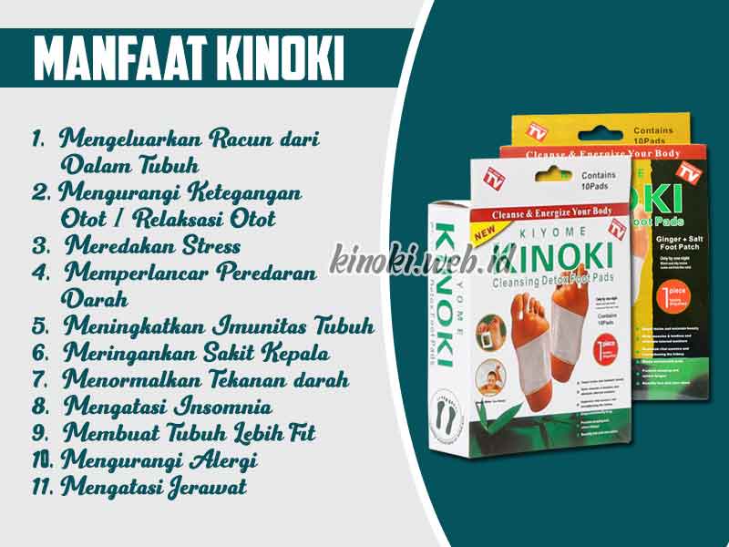 Jual Kinoki Cleansing Detox Foot Pads di Kabanjahe 